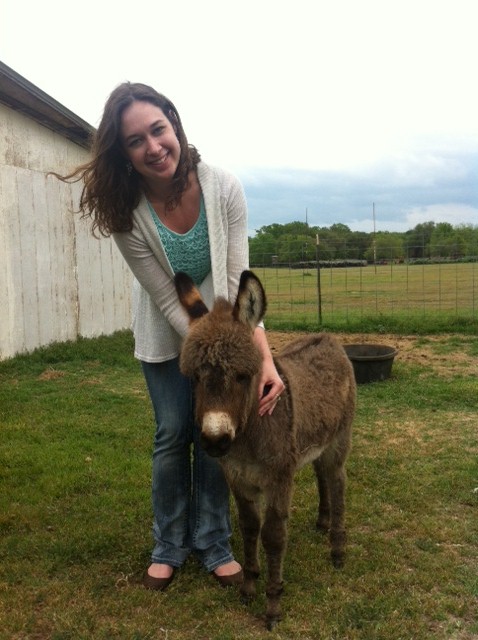 sarah%20mini-donkey-for-sale-granbury-glen-rose-tx-nm.jpg