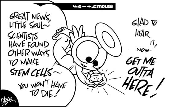 stemcellcartoon.jpg