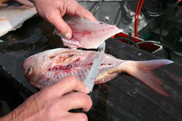 filleting-fish-11.jpg