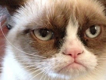 grumpy-cat-final.jpg