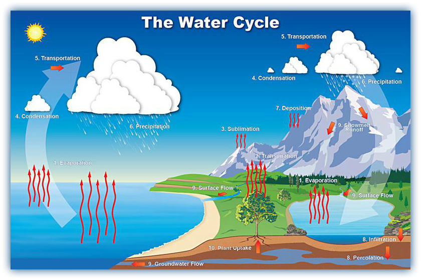 the%20water%20cycle-u7379.png