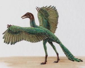 Archaeopteryx1140553061.jpg