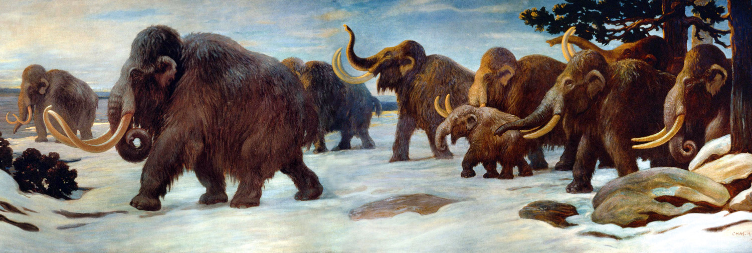 Wooly_Mammoths.jpg