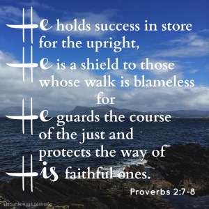 31-BLOG-Proverbs-2-7-8-Scene-WORDS-300x300.jpg