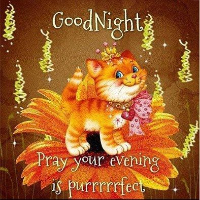 249133-Goodnight-Pray-Your-Evening-Is-Perfect.jpg