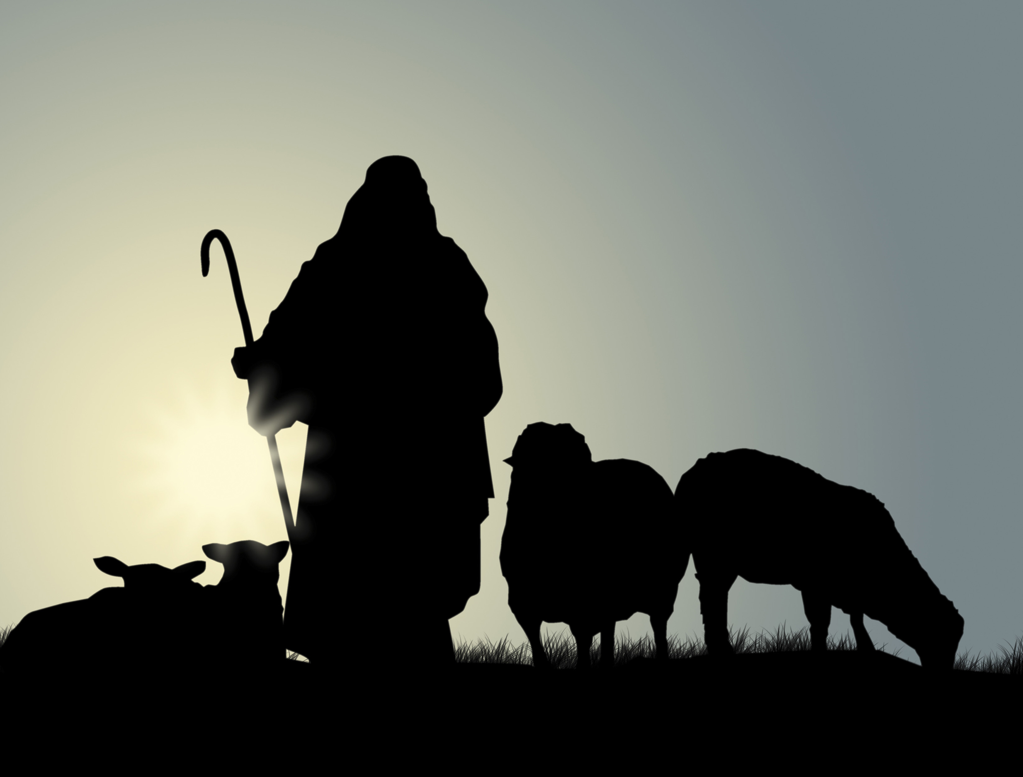 Shepherd-and-sheep-e1446124496929.jpg