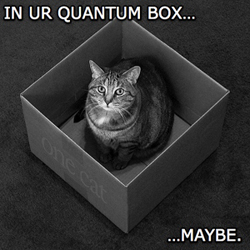 schrodinger_s-lolcat.jpg