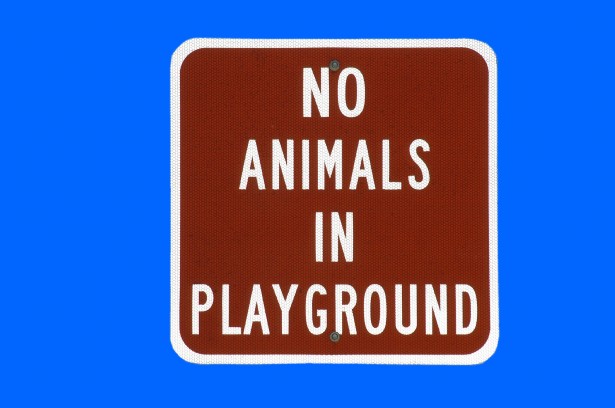 no-animals-in-the-playground.jpg