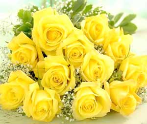 image-of-yellow-roses.jpg