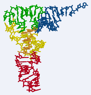 trna.gif