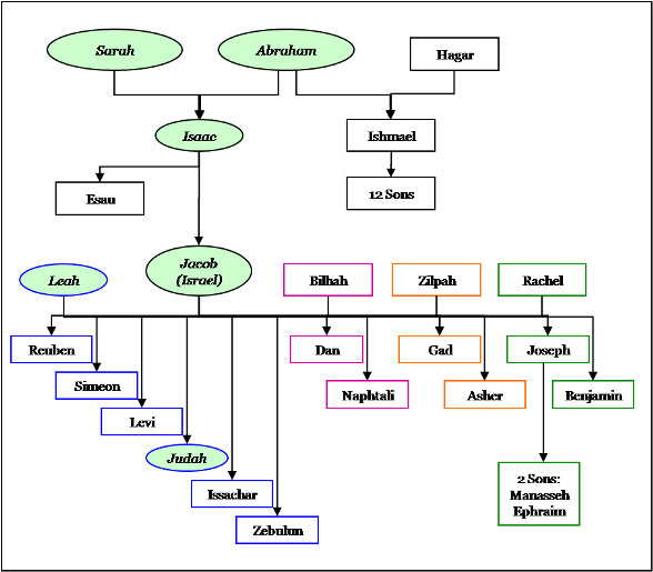 lineage-tree.jpg