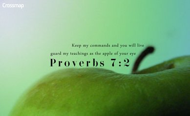 proverbs7.jpg