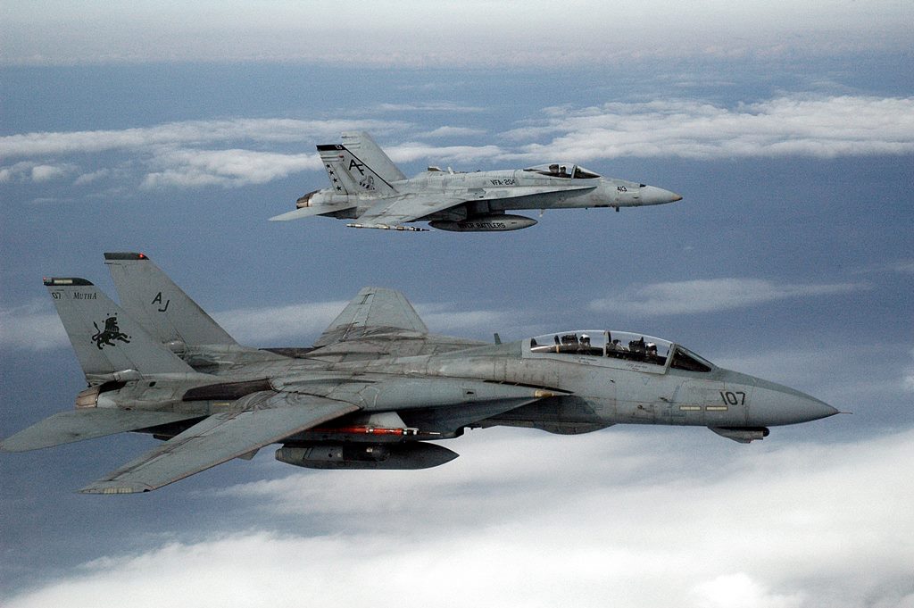 Tomcat_and_Hornet.jpg