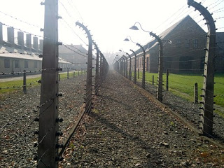 concentration-camp-528969__340.jpg