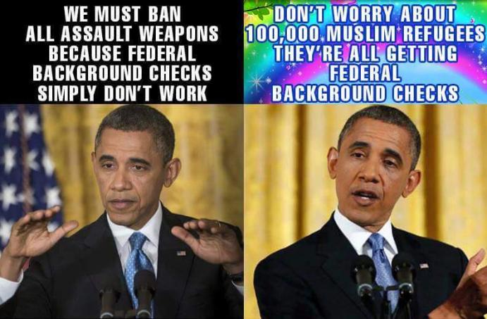 Obama%2BBackground%2Bcheck%2BHypocrisy.jpg