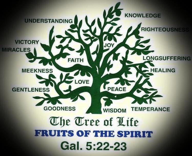 tree-of-life-biblical-b60740c9-2780-424a-a8b6-a0ba0172fd4-resize-750.jpeg