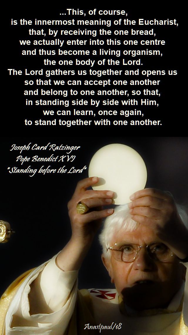 this-of-course-is-the-innermost-meaning-of-the-eucharist-sun-reflection-11-nov-2018.jpg