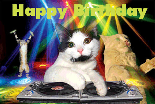 1709636315funny-cat-party-happy-birthday-gif.gif