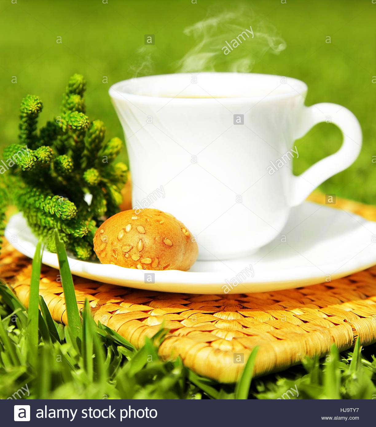 tea-beverage-morning-meadow-grass-lawn-green-coffee-healthy-tomorrow-HJ9TY7.jpg