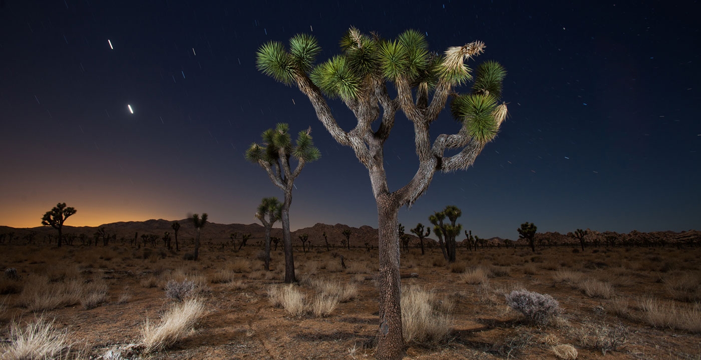1400-joshua-tree-national-park-california-night-stars.imgcache.revc9454d12f5a77e8c718adf4d9934cf43.web.jpg