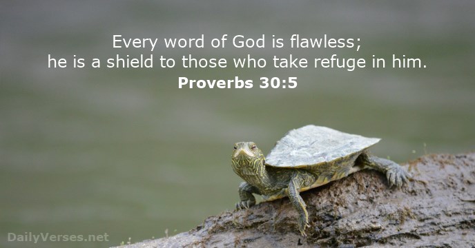 proverbs-30-5.jpg