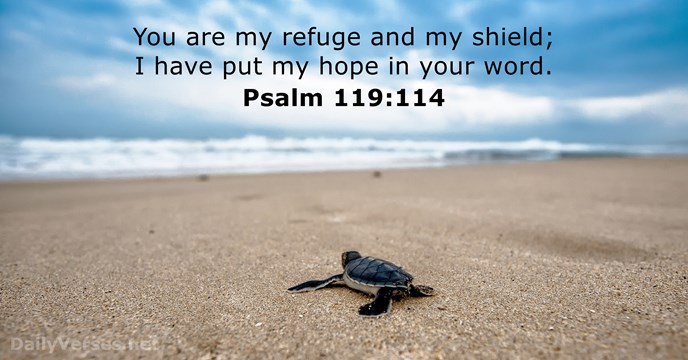 psalms-119-114-2.jpg