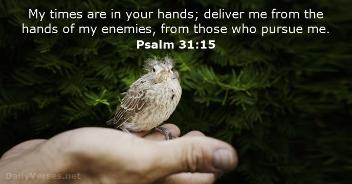 psalms-31-15.jpg
