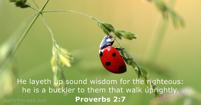 proverbs-2-7.jpg