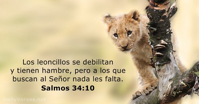 salmos-34-10.jpg