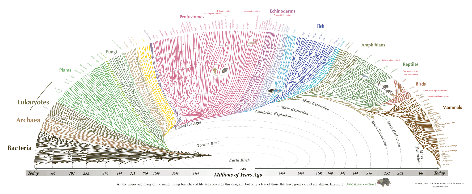 tree-of-life_2000.png