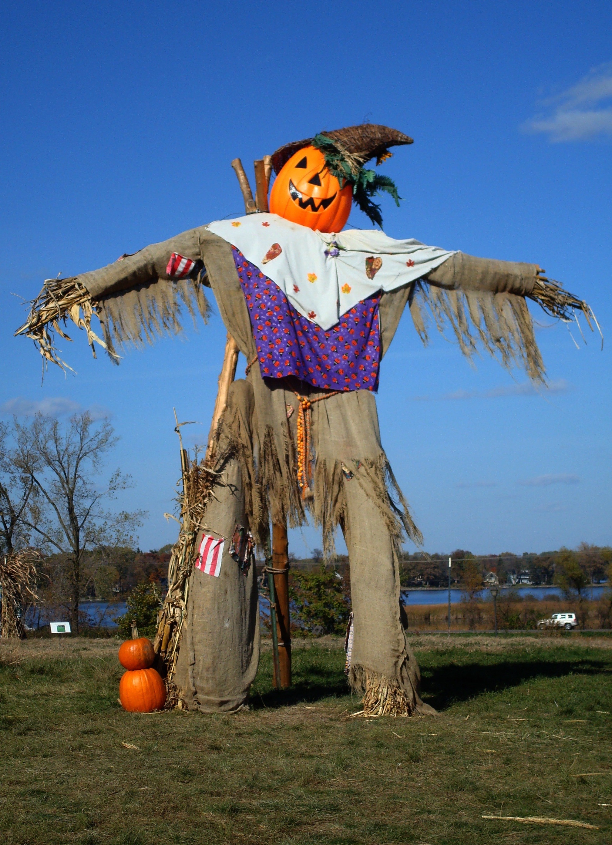 1520525-fall-scarecrow-wallpaper-2018x2786-picture.jpg