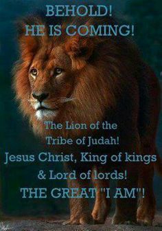 37f9c52dc6bdbbc062850a8d42bf200c--lion-of-judah-christian-life.jpg