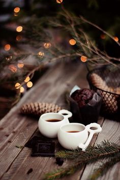 6b8dd2c6955c7173fc5f3ed12da29579--christmas-coffee-winter-christmas.jpg