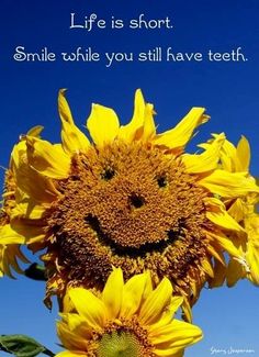 c5cc882de0772e9c6b1f95fe1cc6a815--smiley-quotes-fantastic-quotes.jpg