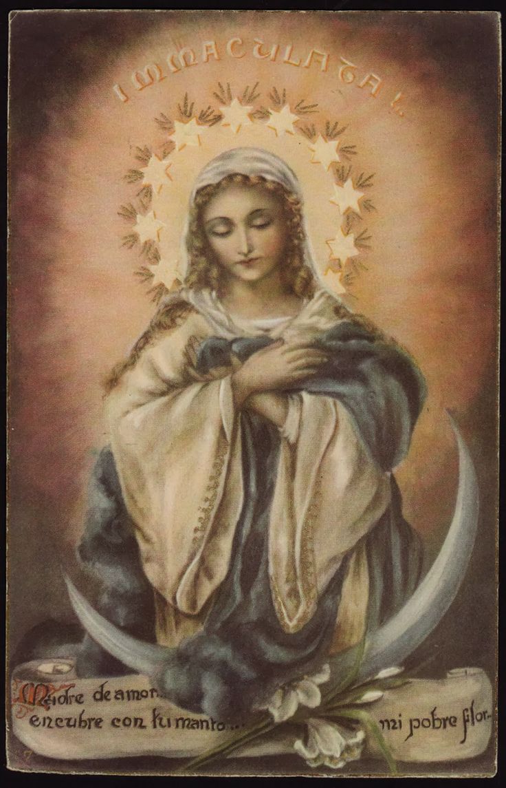 ad2b97014fcb82bd5afb707f16a13b58--blessed-virgin-mary-lady-mary.jpg