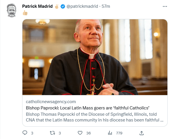 the-american-catholic.com