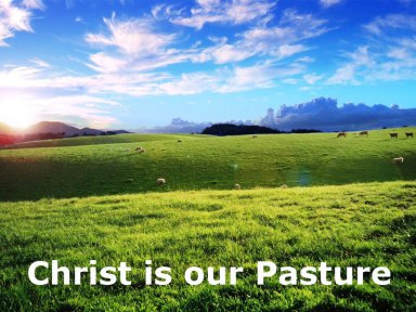 Christ-is-our-pasture.jpg