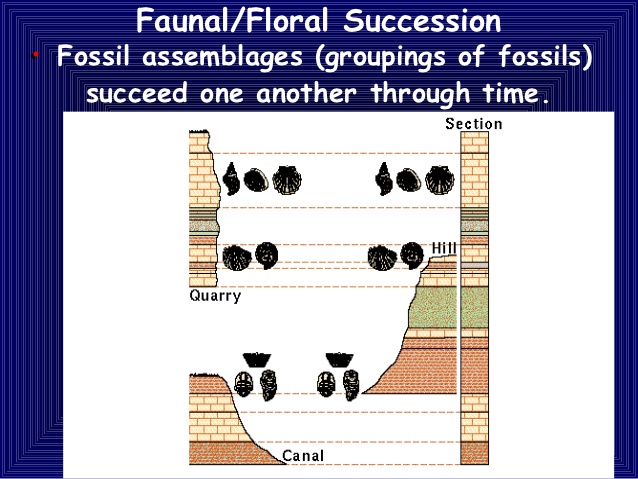 geol162-geologic-time-17-638.jpg