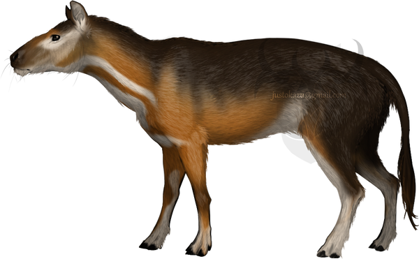 orohippus_by_kazchling_dculqa3-fullview.png