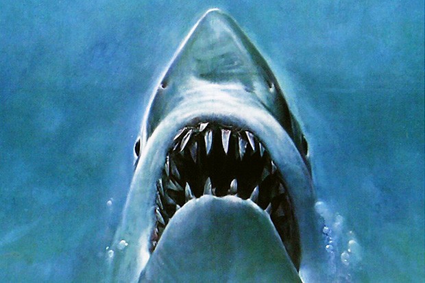 Jaws-crop-437b2b6.jpg