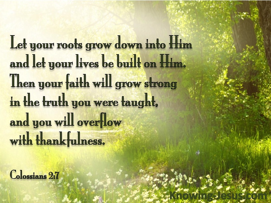 Colossians%202-7%20Rooted%20on%20Christ%20green.jpg