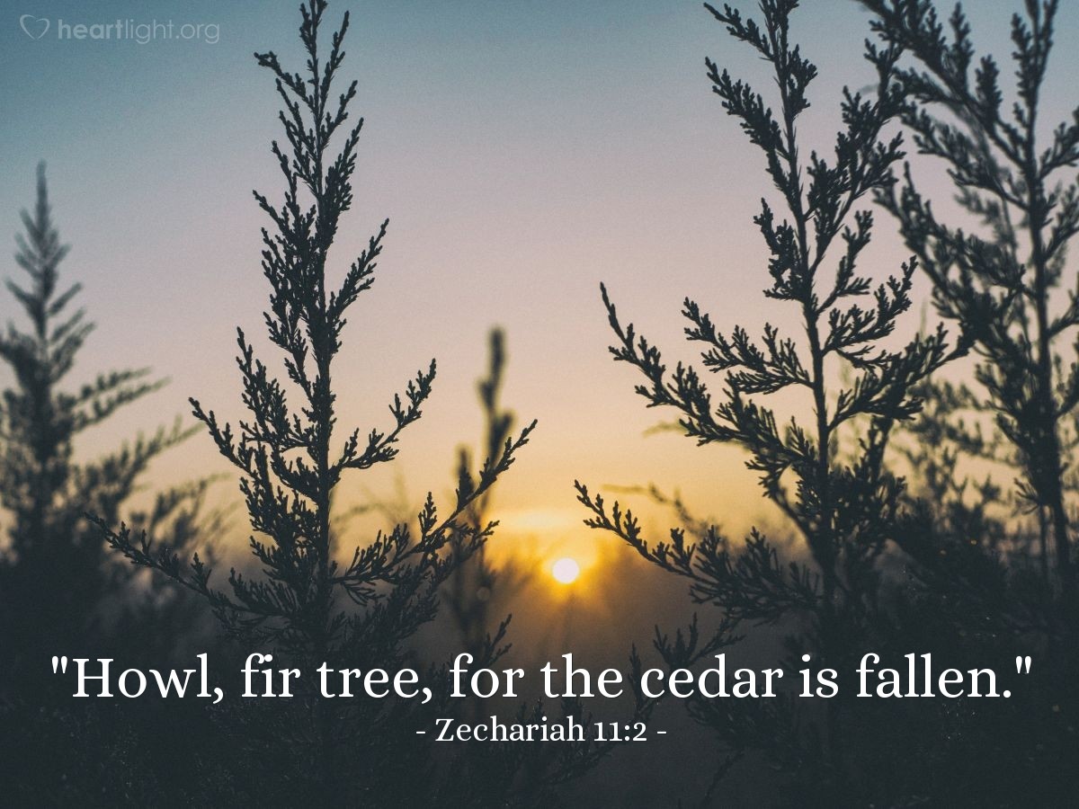 Illustration of Zechariah 11:2