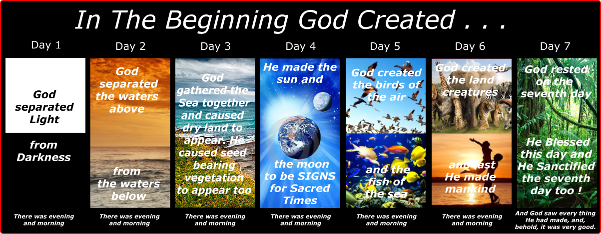 days-of-creation-a1.png