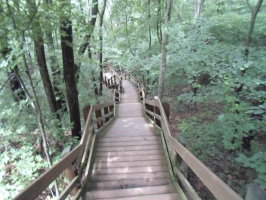 indiana-dunes-state-park.jpg