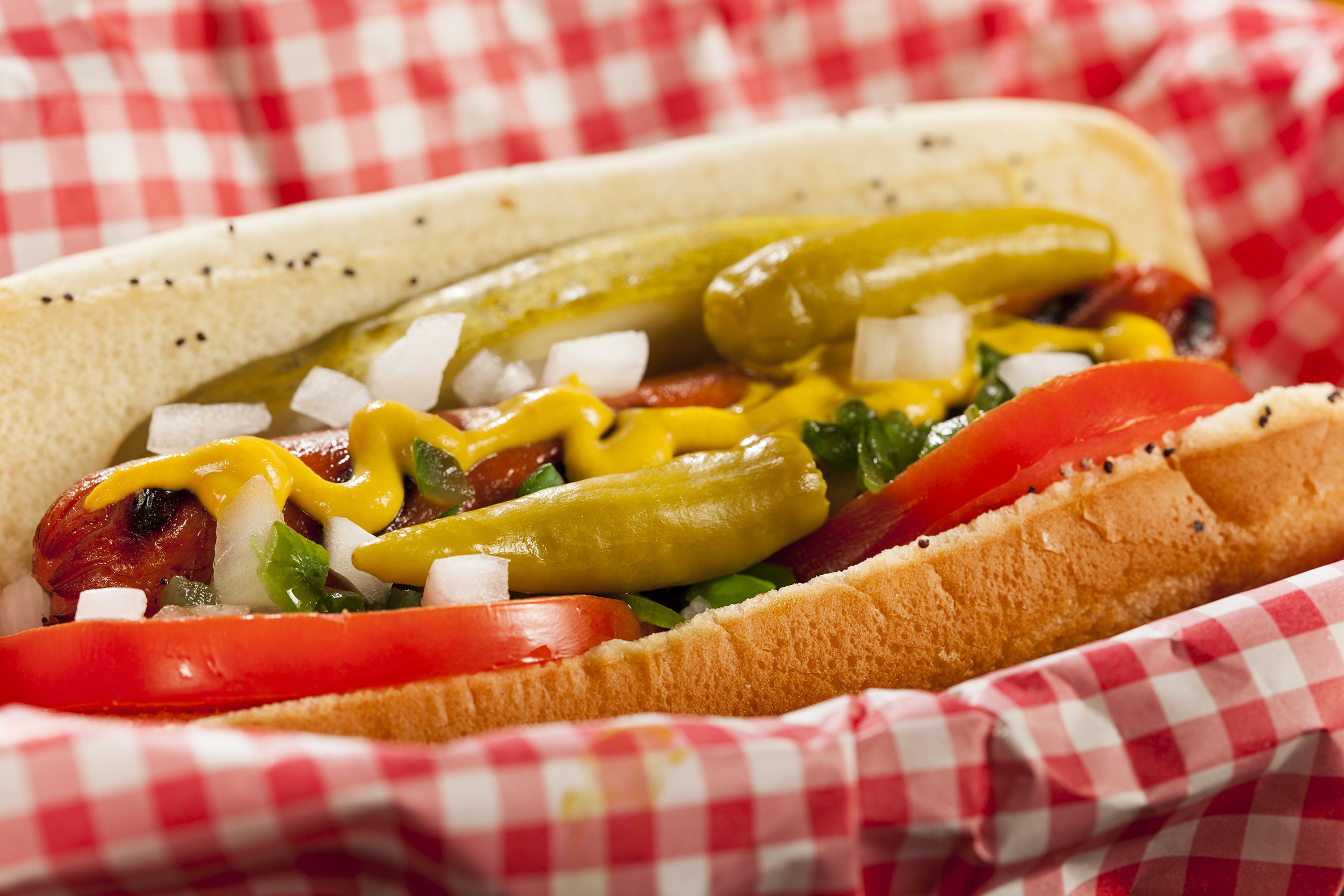 Rosner-Chicago-Dog.jpg