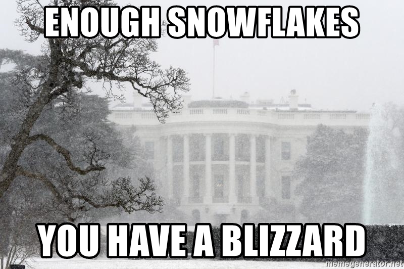 enough-snowflakes-you-have-a-blizzard.jpg