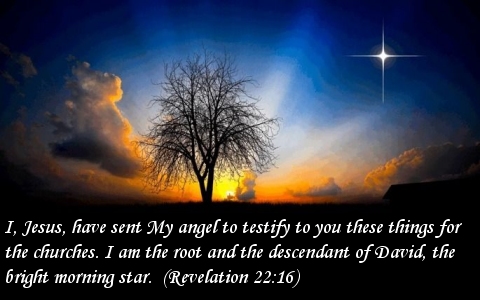 jesus-the-morning-star-quote-revelation-22-16.jpg