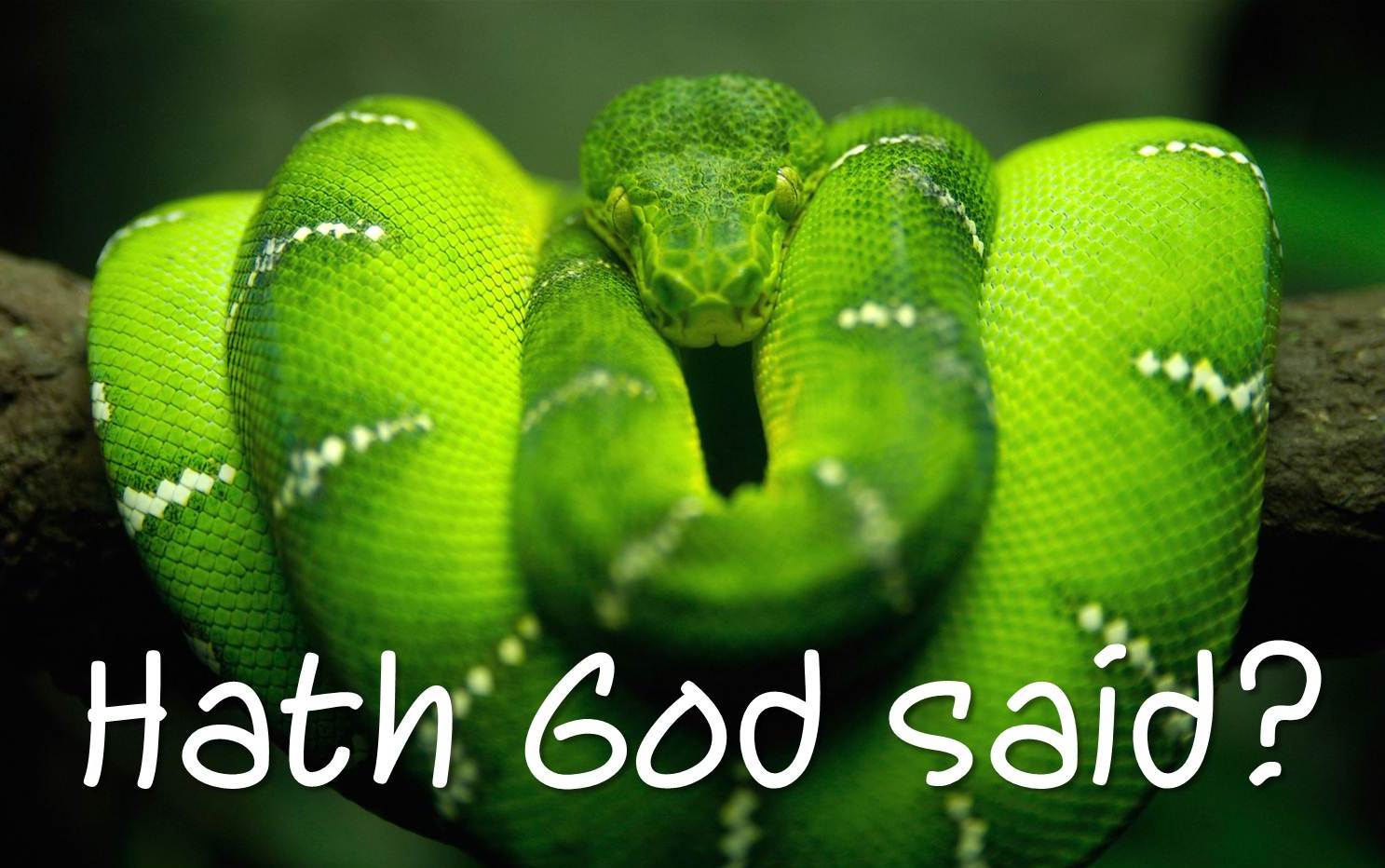 serpent_hath_god_said.jpg
