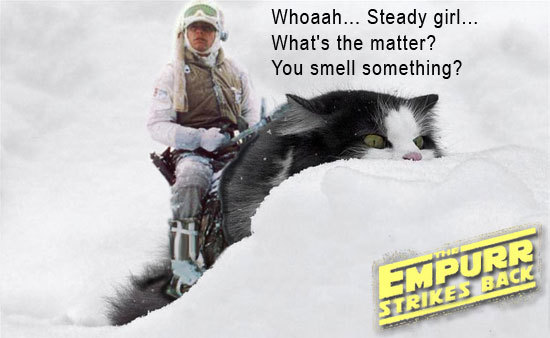 CatTauntaun.jpg