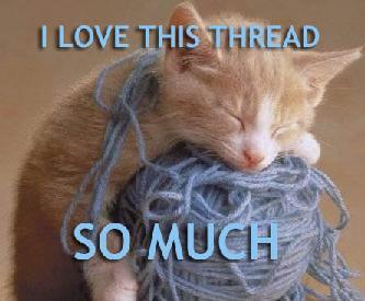 CatThreadPic.jpg